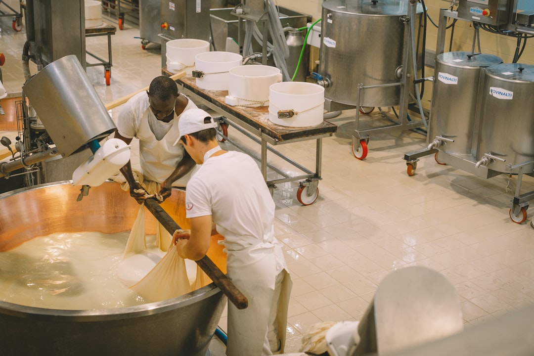 Produkcja w zakładzie mleczarskim z nadzorem jakości HACCP
